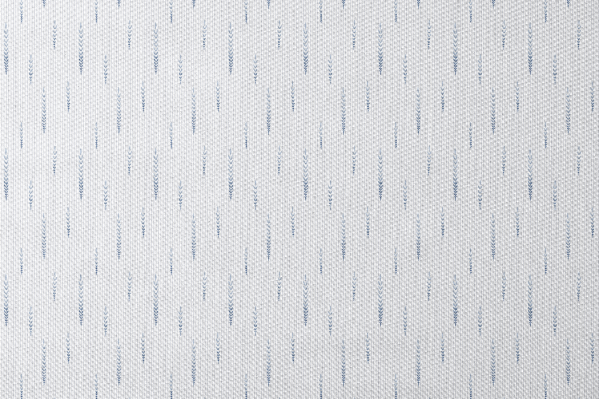  designs flat mockup